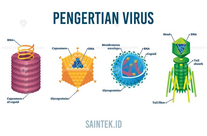 Gambar Pengertian Virus