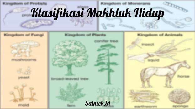 Klasifikasi Makhluk Hidup - Pengertian, Sistem Klasifikasi Dan ...