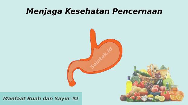 manfaat buah dan sayur untuk Menjaga Kesehatan Pencernaan