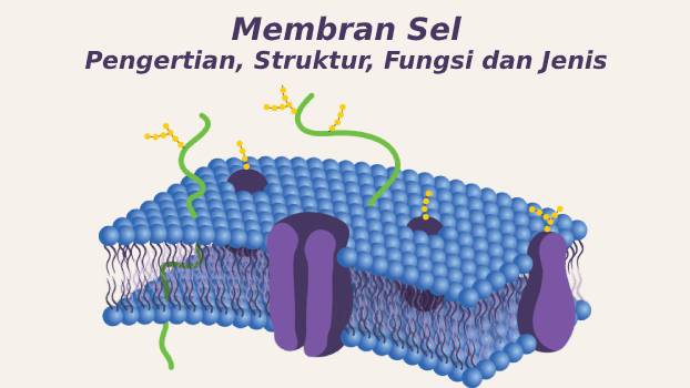 Artikel Membran Sel