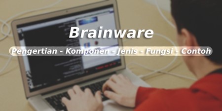 Pengertian Brainware beserta jenis, fungsi dan contohnya