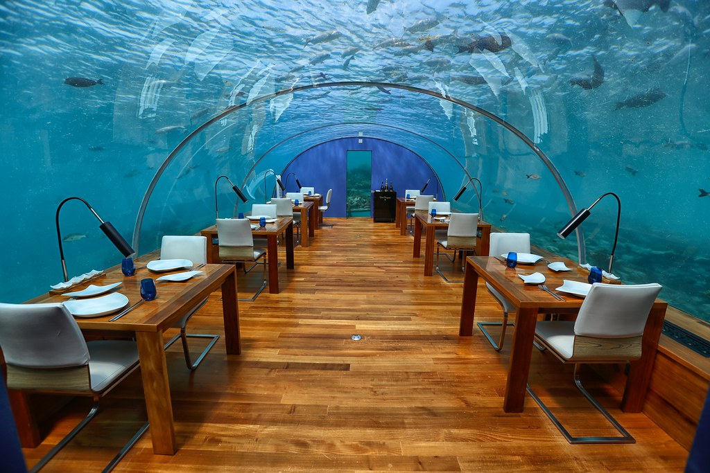 Gambar Restoran Bawah Laut, Retoran Ithaa di Maladewa